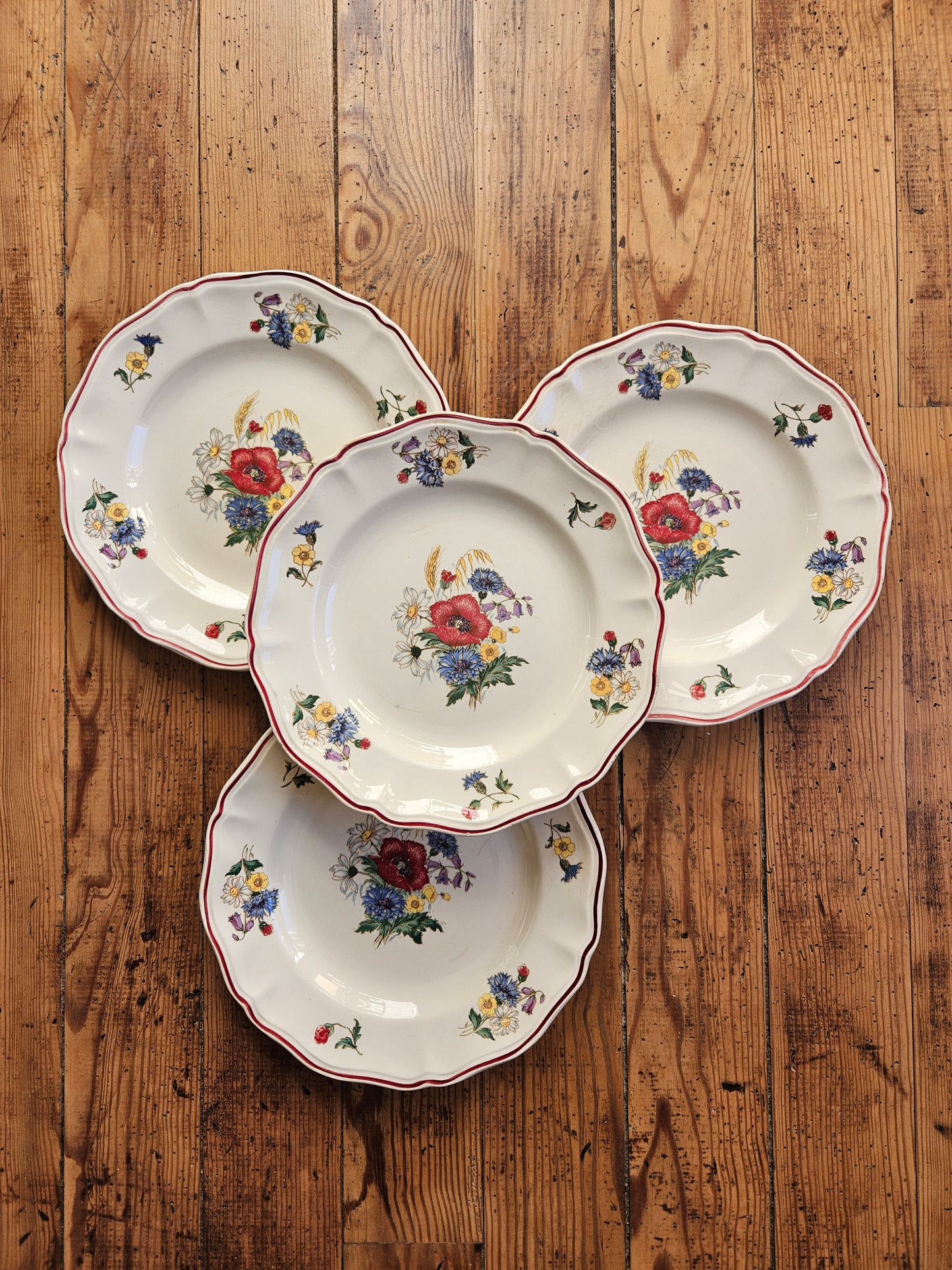 Assiettes plates Sarreguemines, Agreste