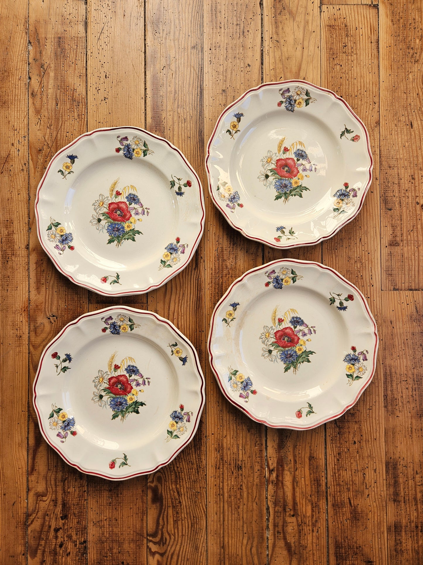 Assiettes plates Sarreguemines, Agreste