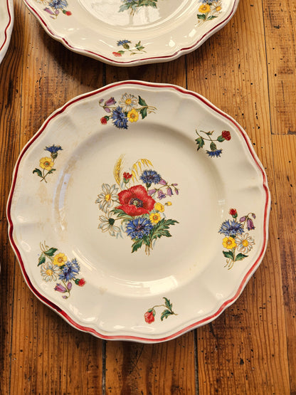 Assiettes plates Sarreguemines, Agreste