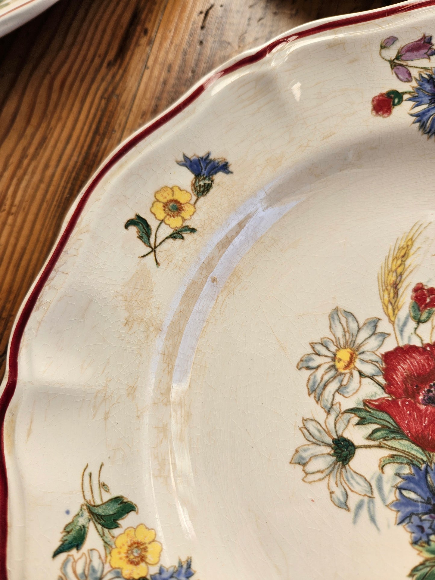 Assiettes plates Sarreguemines, Agreste