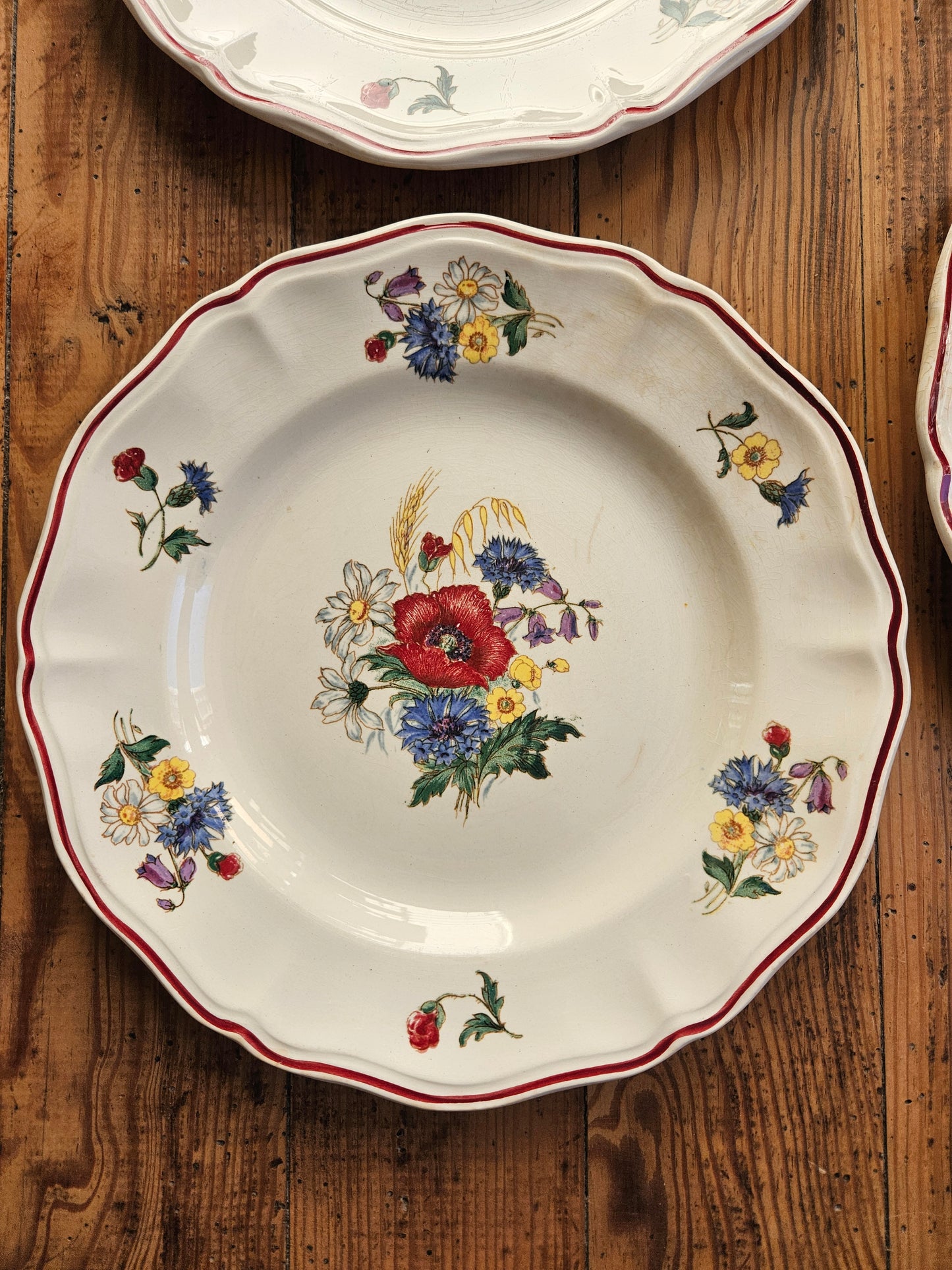 Assiettes plates Sarreguemines, Agreste