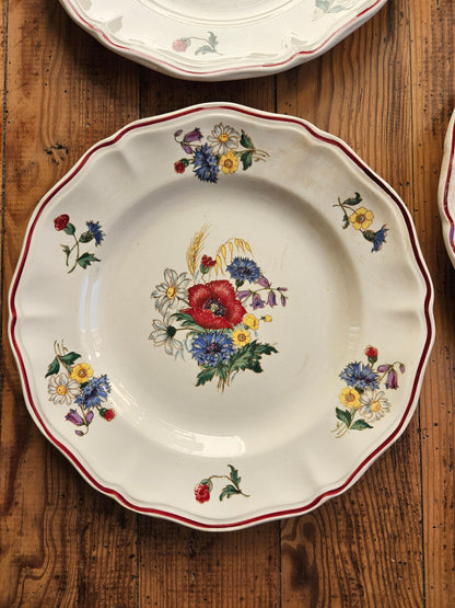 Assiettes plates Sarreguemines, Agreste