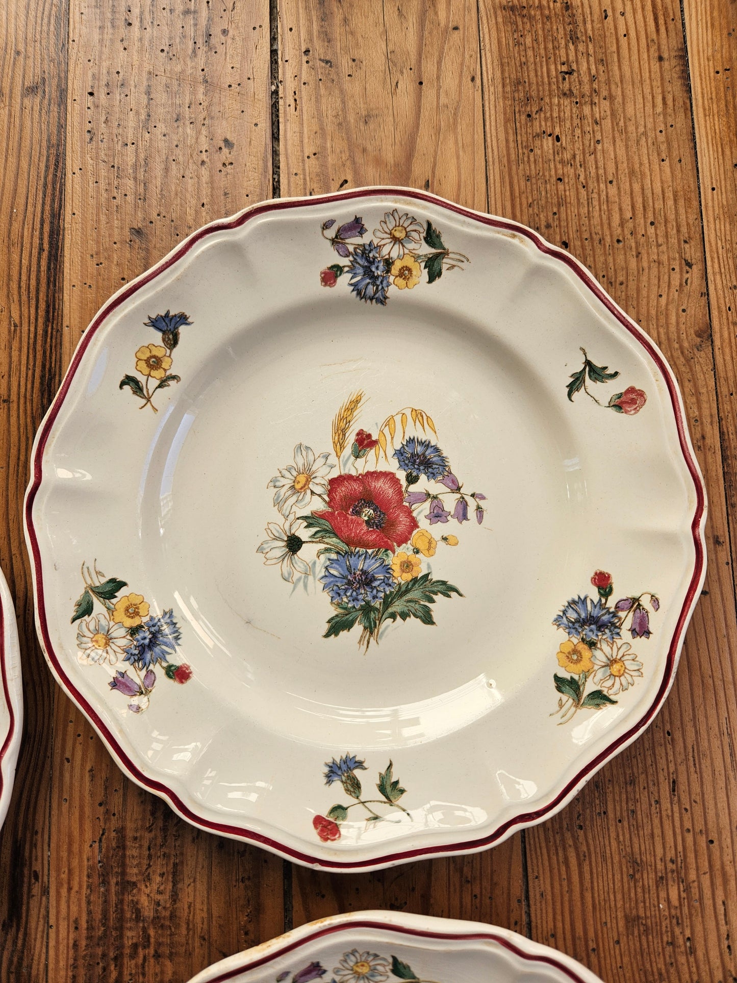 Assiettes plates Sarreguemines, Agreste