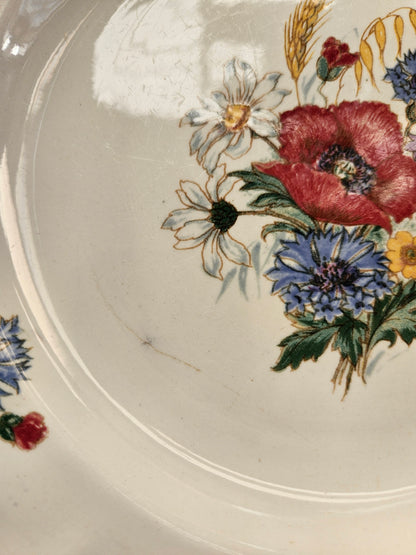 Assiettes plates Sarreguemines, Agreste