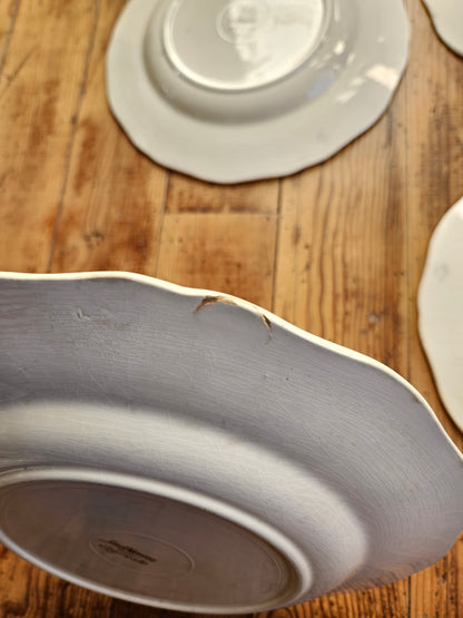 Assiettes plates Sarreguemines, Agreste