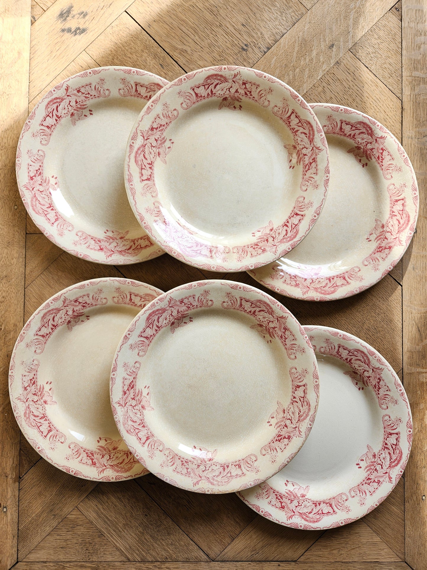 Assiettes plates Creil et Montereau, Ceylan