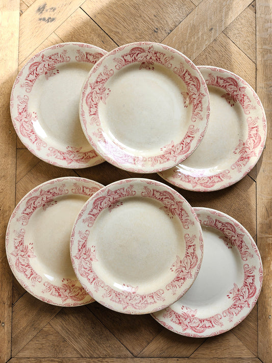 Assiettes plates Creil et Montereau, Ceylan