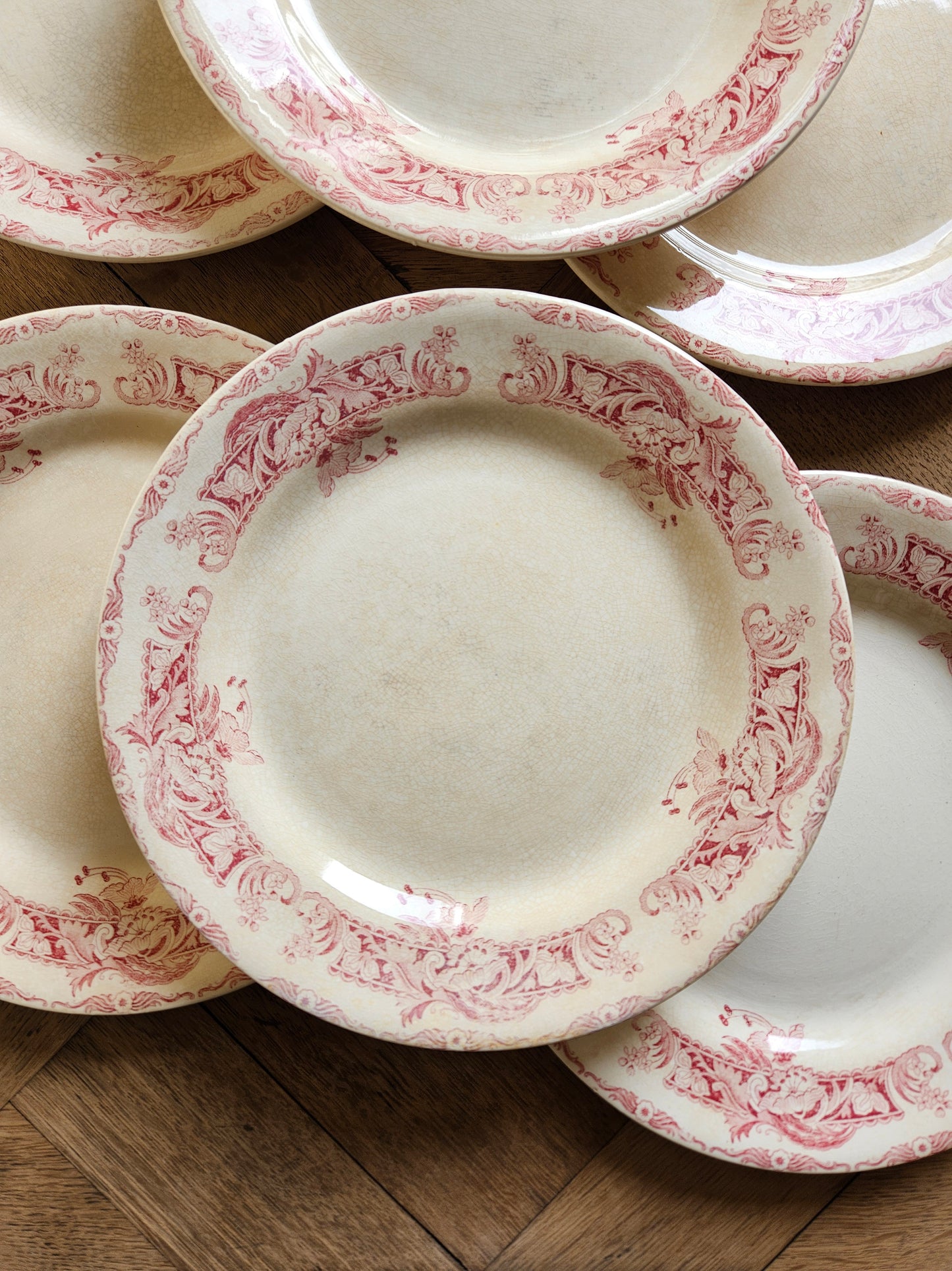 Assiettes plates Creil et Montereau, Ceylan