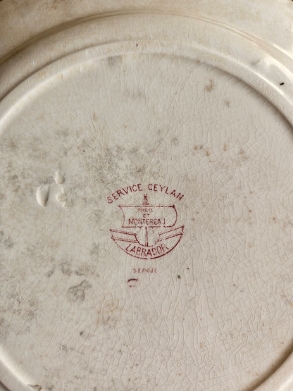 Assiettes plates Creil et Montereau, Ceylan