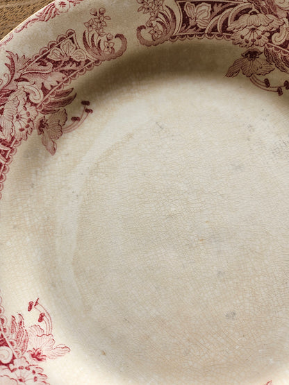 Assiettes plates Creil et Montereau, Ceylan