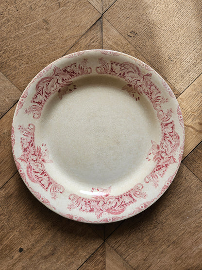 Assiettes plates Creil et Montereau, Ceylan