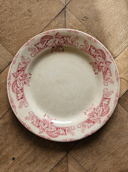 Assiettes plates Creil et Montereau, Ceylan