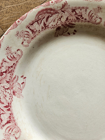 Assiettes plates Creil et Montereau, Ceylan