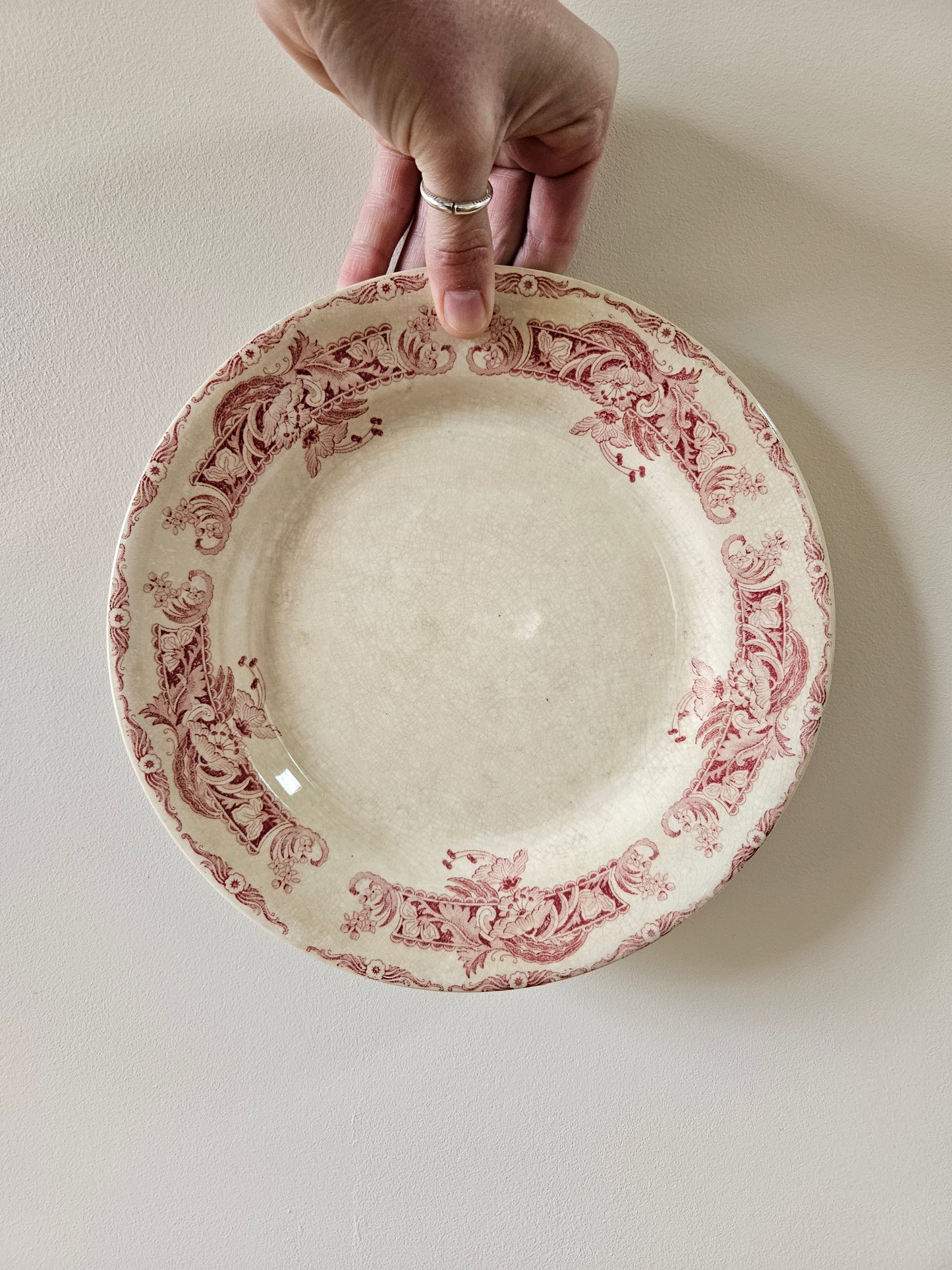 Assiettes plates Creil et Montereau, Ceylan