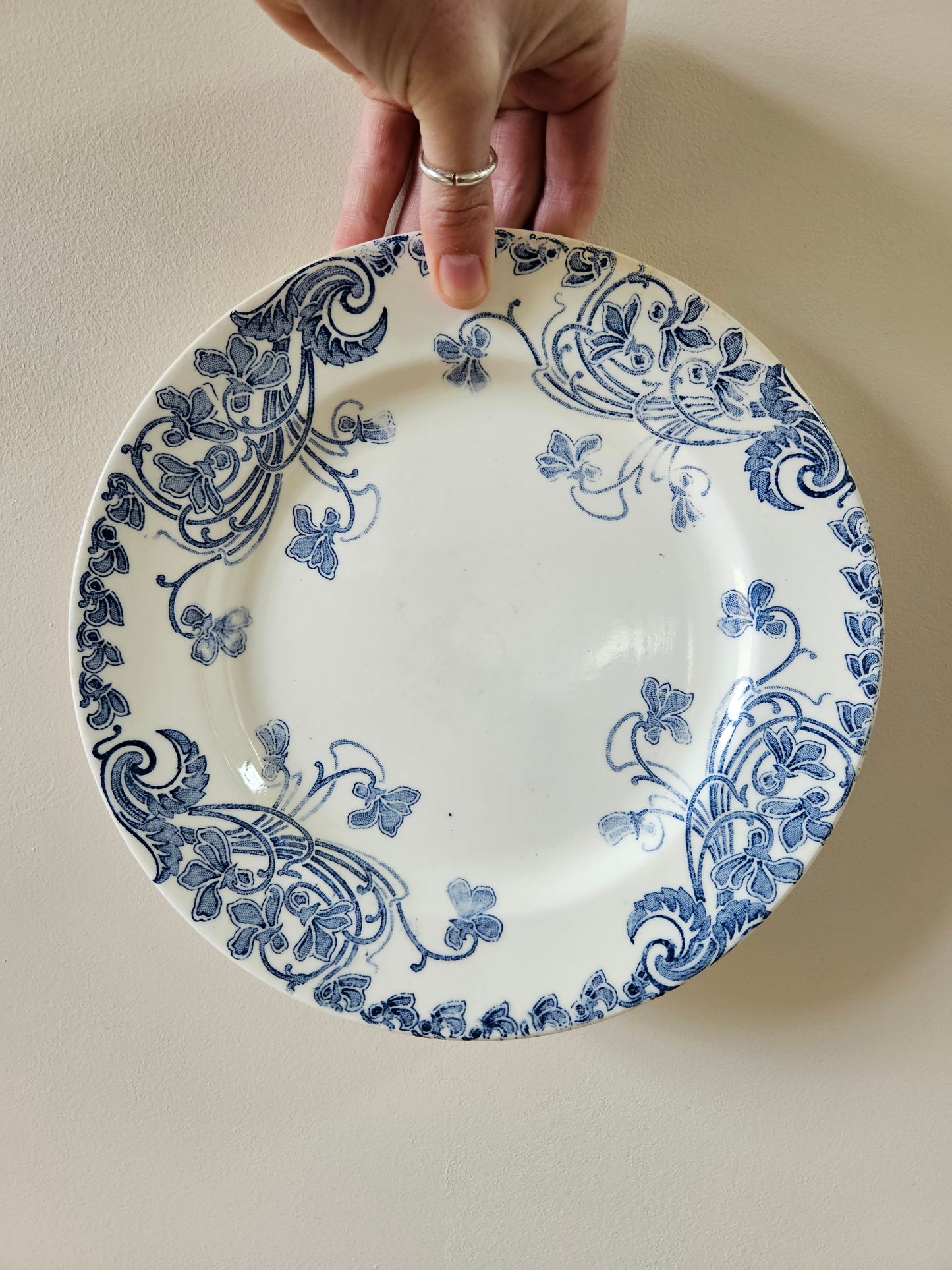 Assiettes plates Clairefontaine, Violettes