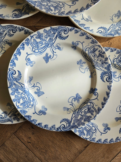 Assiettes plates Clairefontaine, Violettes