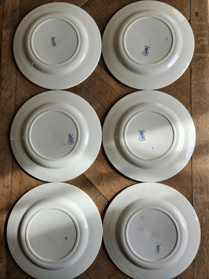 Assiettes plates Clairefontaine, Violettes