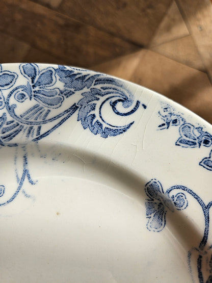 Assiettes plates Clairefontaine, Violettes