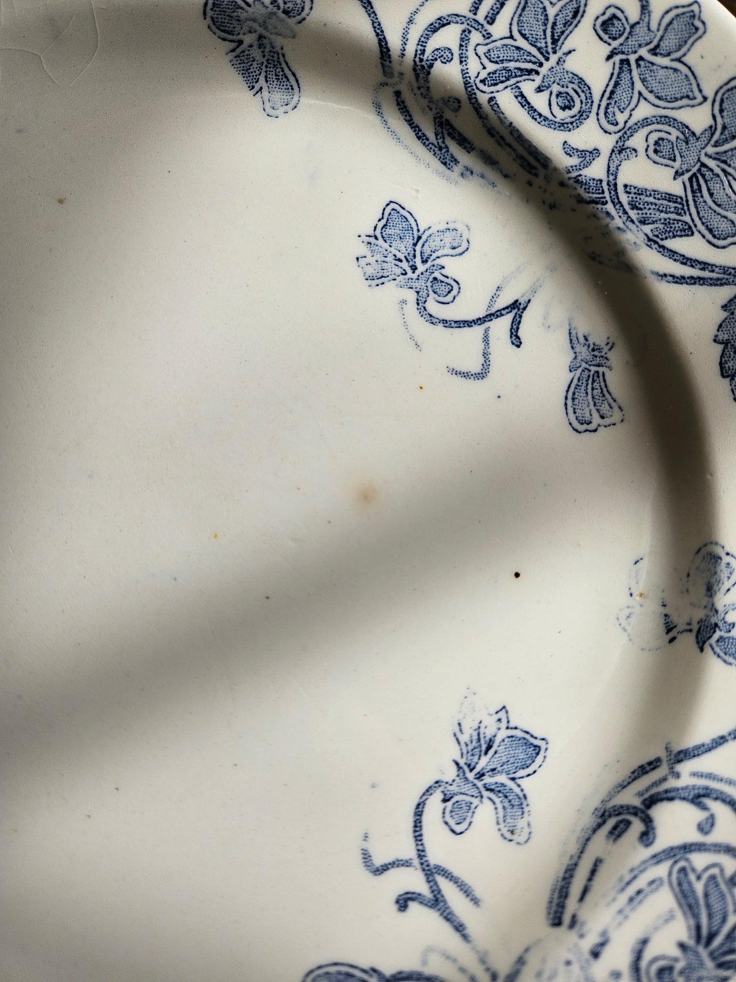 Assiettes plates Clairefontaine, Violettes