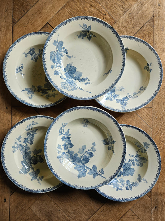 Assiettes creuses U&C Sarreguemines, Groseilles