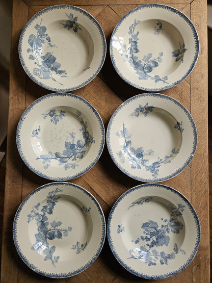 Assiettes creuses U&C Sarreguemines, Groseilles