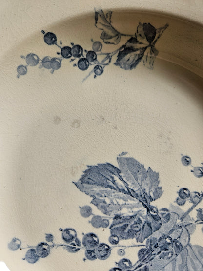 Assiettes creuses U&C Sarreguemines, Groseilles