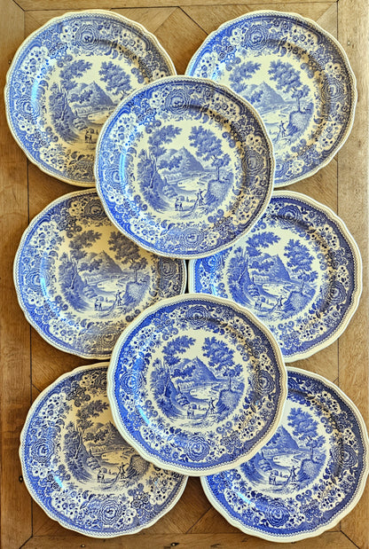 Assiettes plates Villeroy et Boch, Burgenland