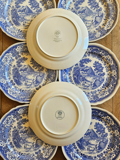 Assiettes plates Villeroy et Boch, Burgenland