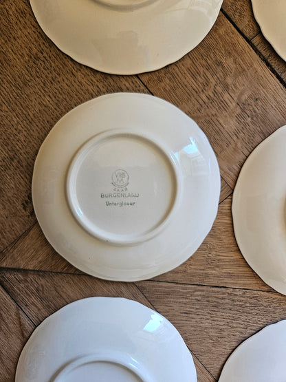 Tasses à expresso Villeroy et Boch, Burgenland