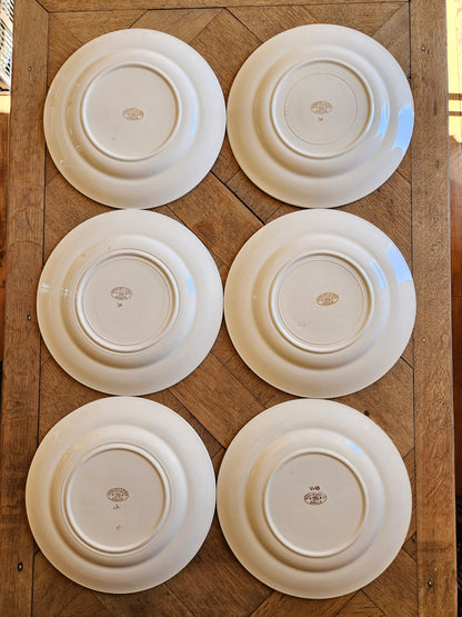 Assiettes plates Ste Amandinoise, vert mint & fleurs
