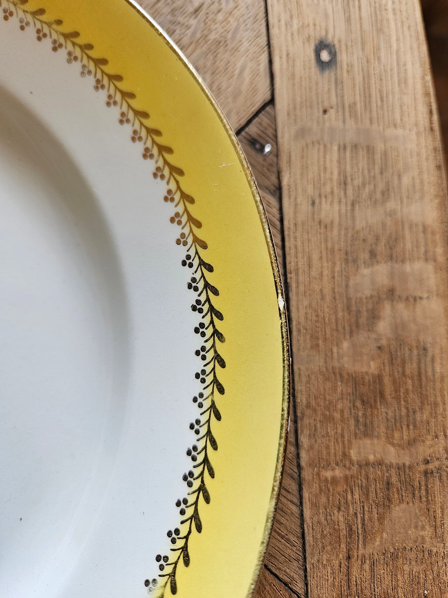 Assiettes plates vintage Biarritz