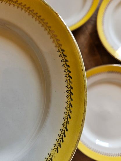 Assiettes plates vintage Biarritz