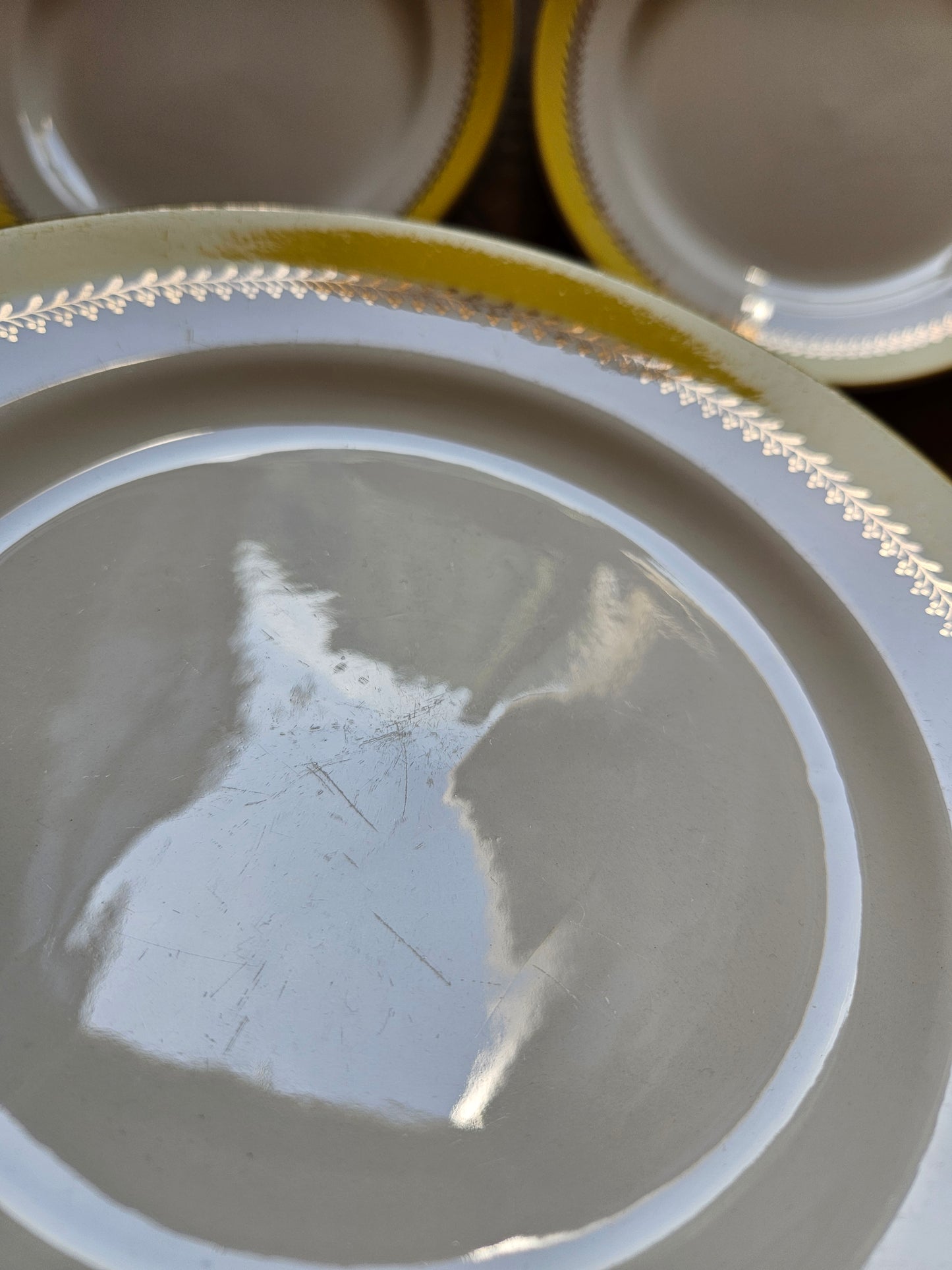 Assiettes plates vintage Biarritz