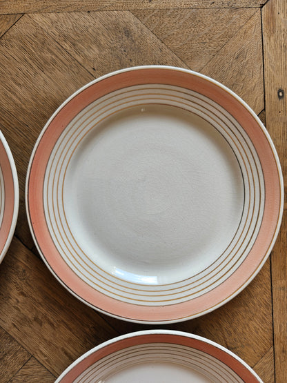 Assiettes plates K&G Lunéville roses