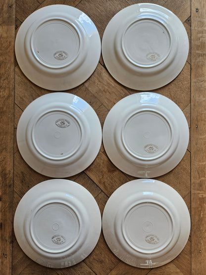 Assiettes plates K&G Lunéville roses