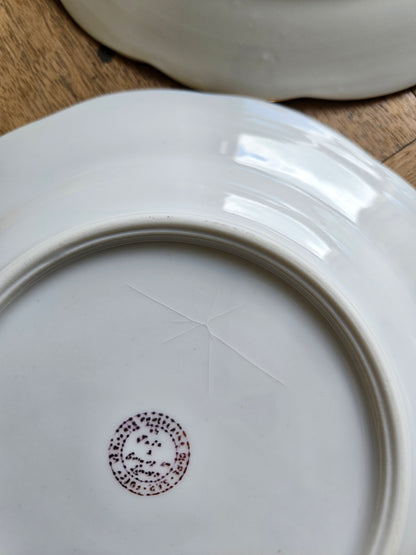 Assiettes creuses anciennes porcelaine S.F.P Foëcy