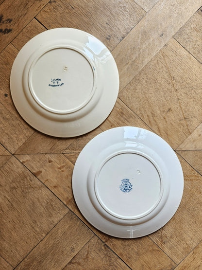 Assiettes plates Badonviller, Jasmin