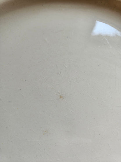 Plat rond Salins, Parmentier
