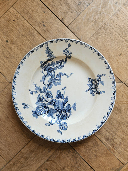Plat rond U&C Sarreguemines, Stella