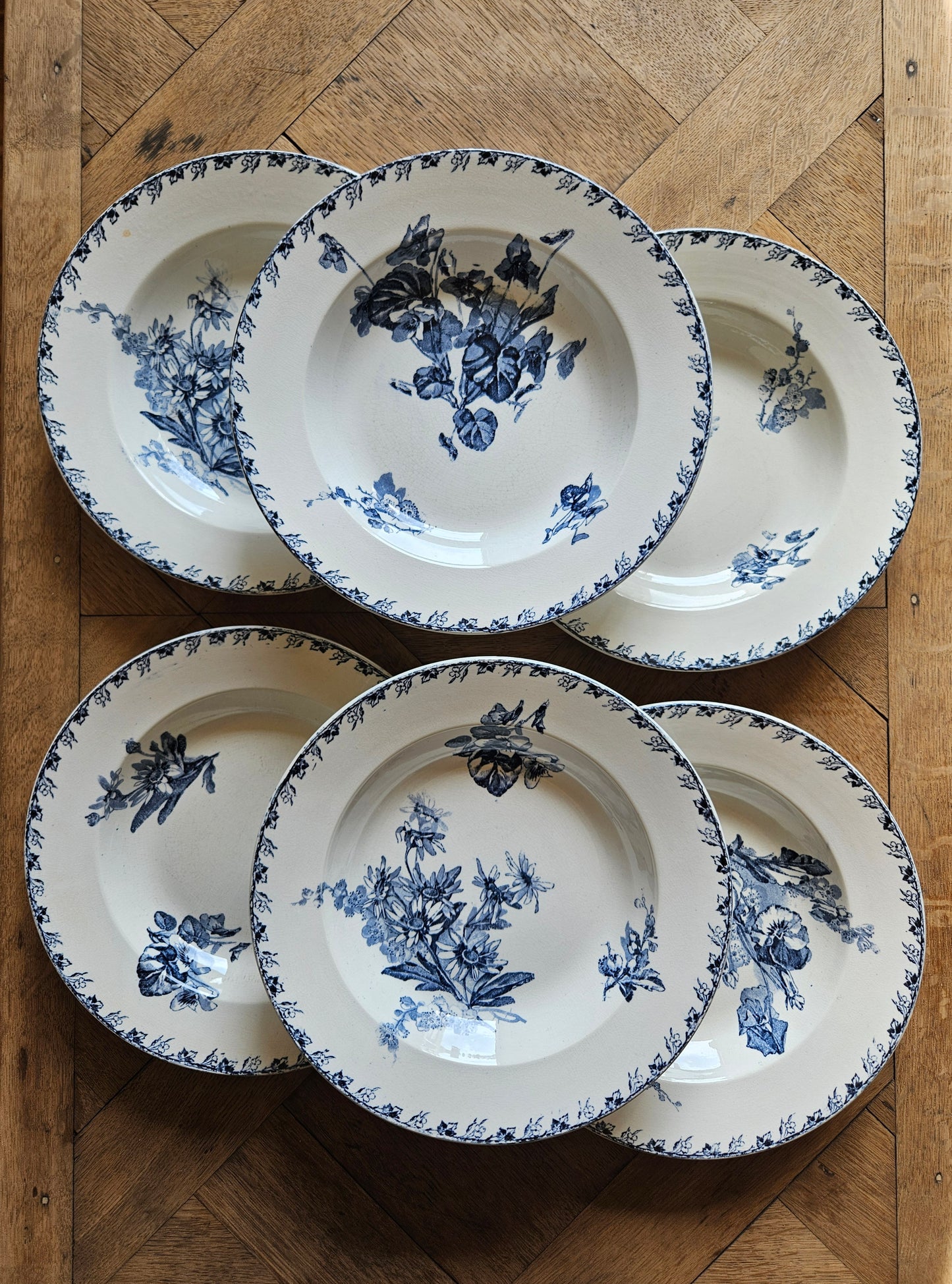 Assiettes creuses U&C Sarreguemines, Stella