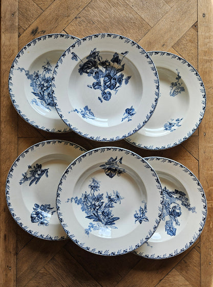 Assiettes creuses U&C Sarreguemines, Stella