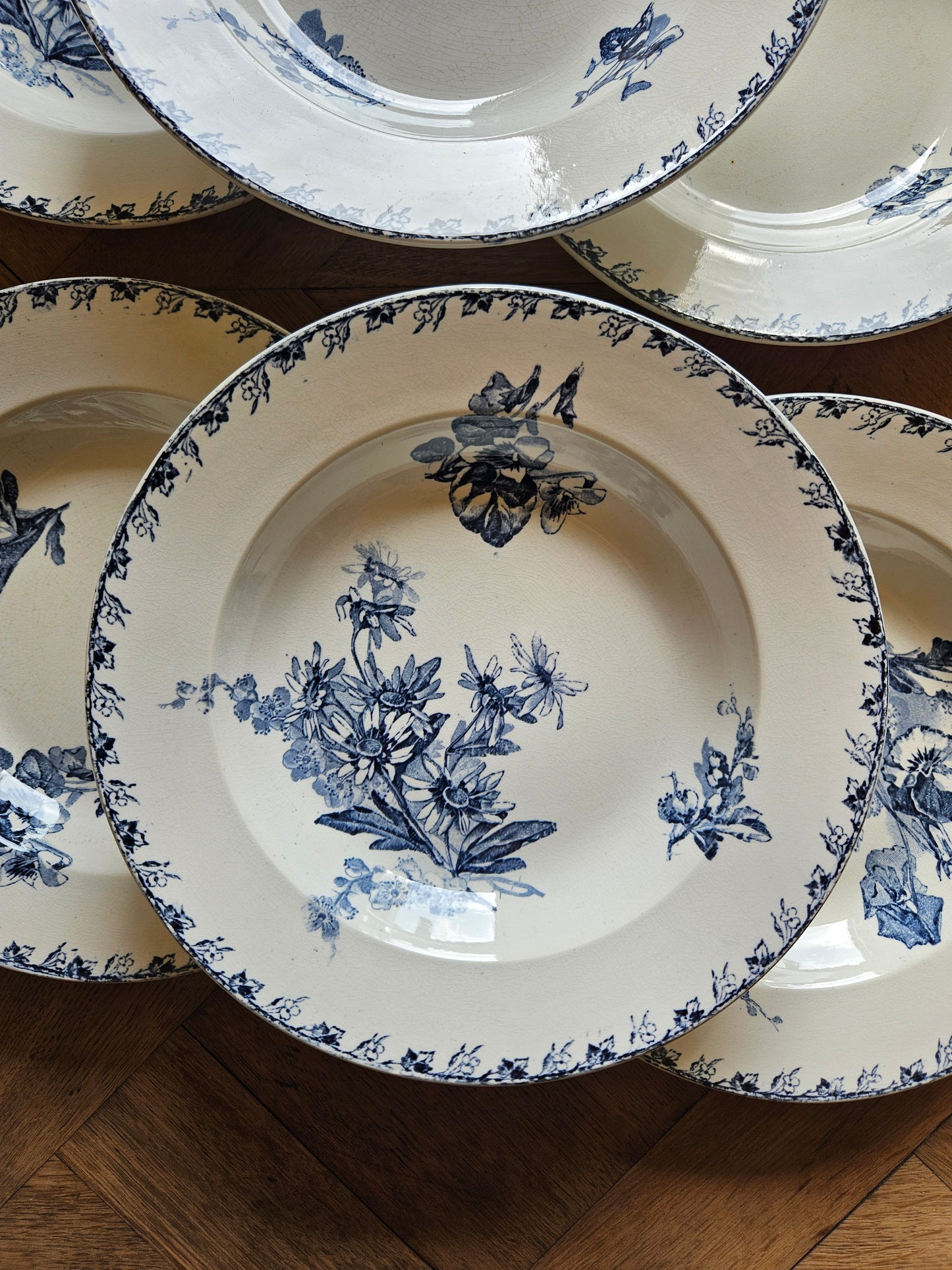 Assiettes creuses U&C Sarreguemines, Stella