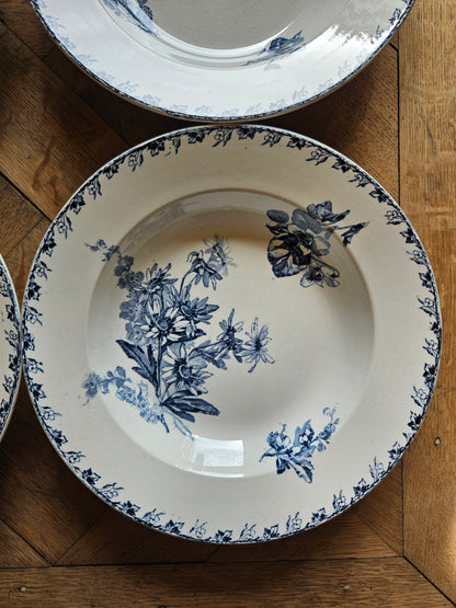 Assiettes creuses U&C Sarreguemines, Stella
