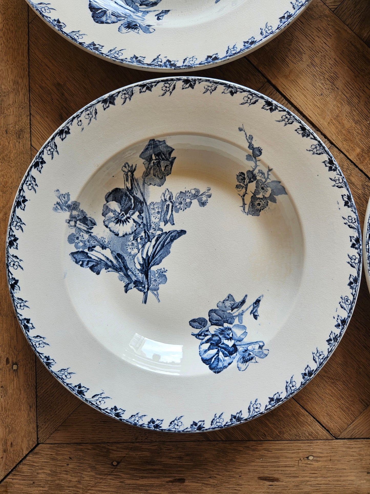 Assiettes creuses U&C Sarreguemines, Stella