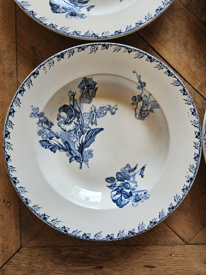 Assiettes creuses U&C Sarreguemines, Stella