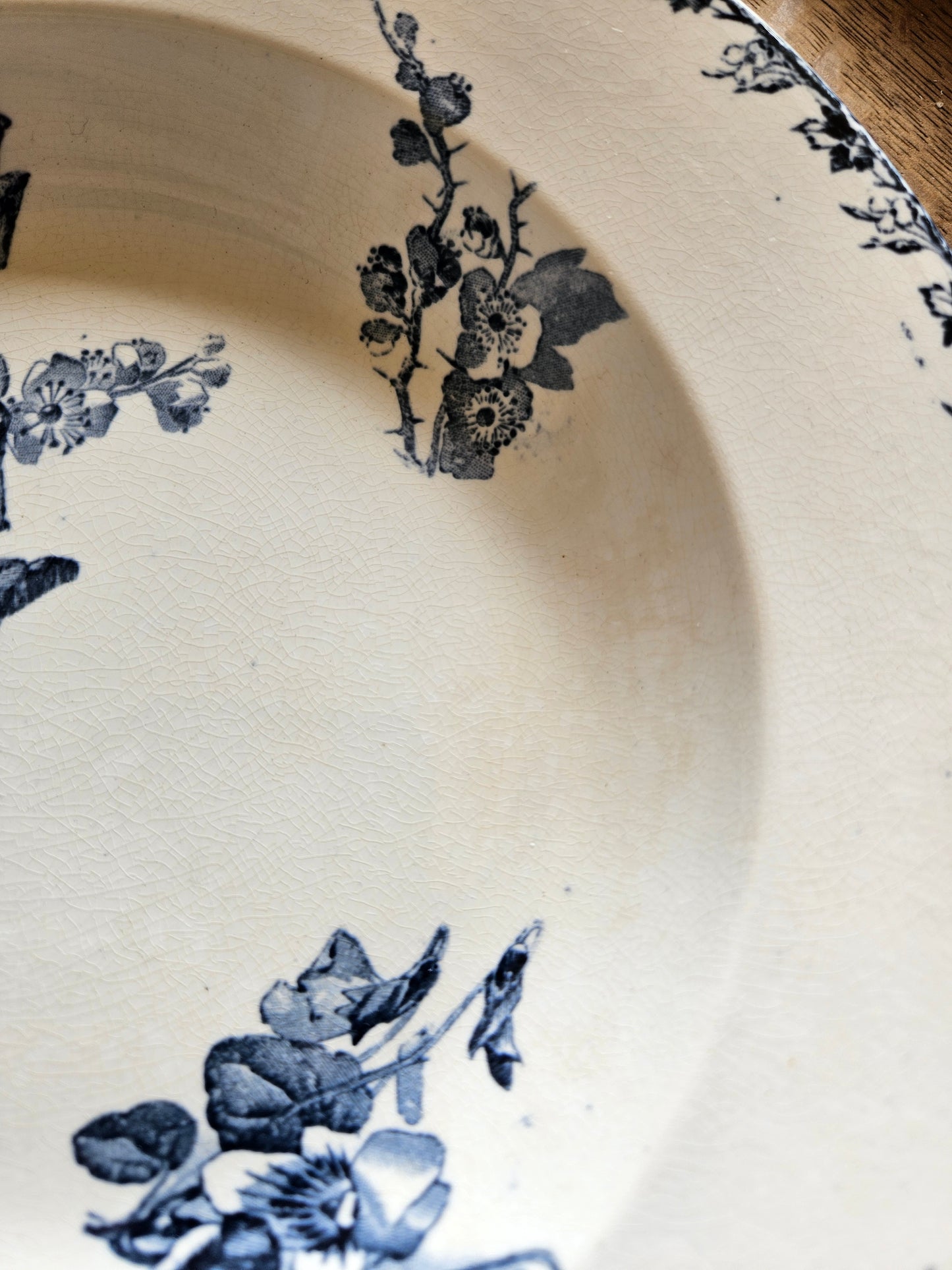 Assiettes creuses U&C Sarreguemines, Stella