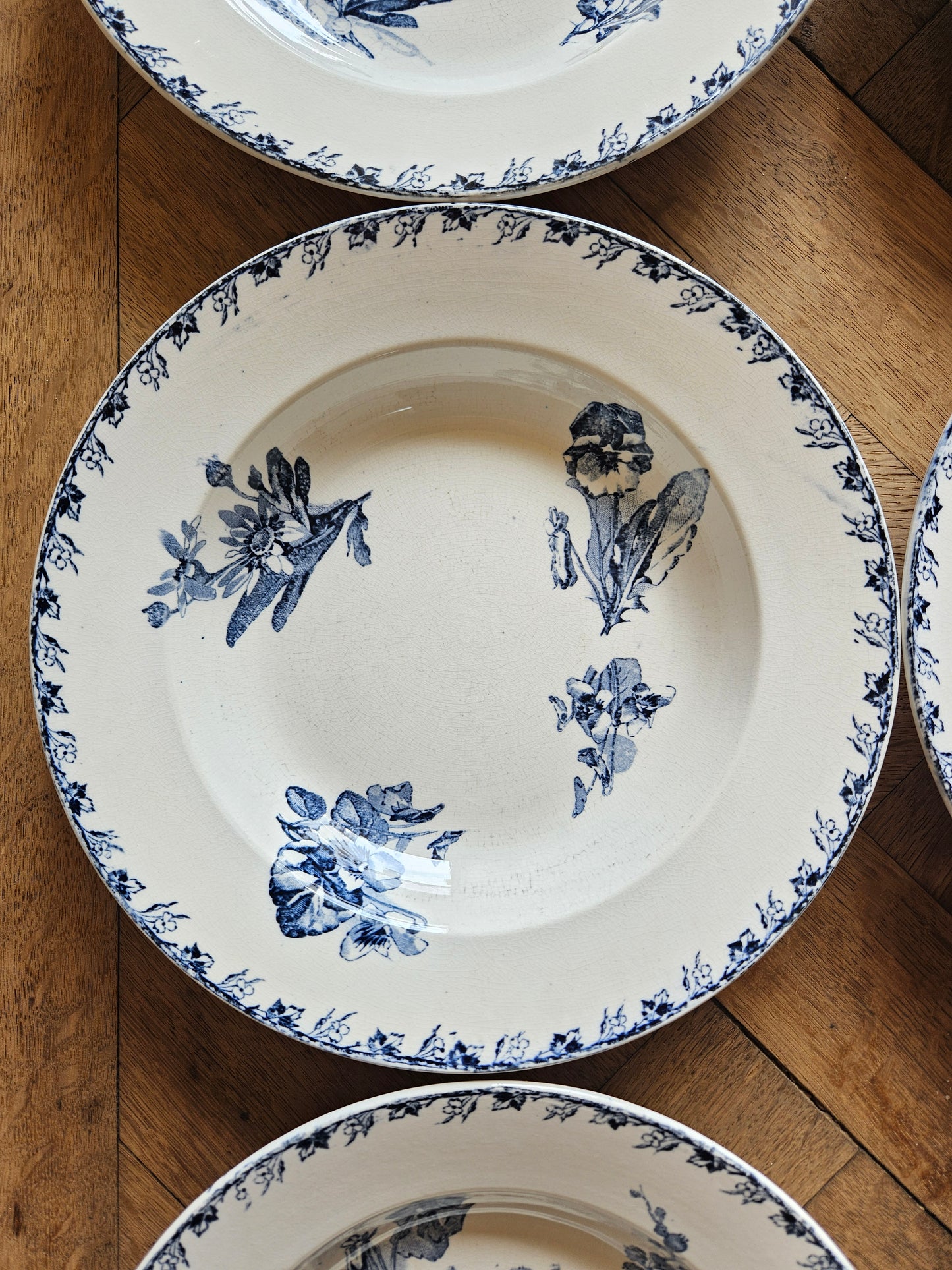 Assiettes creuses U&C Sarreguemines, Stella