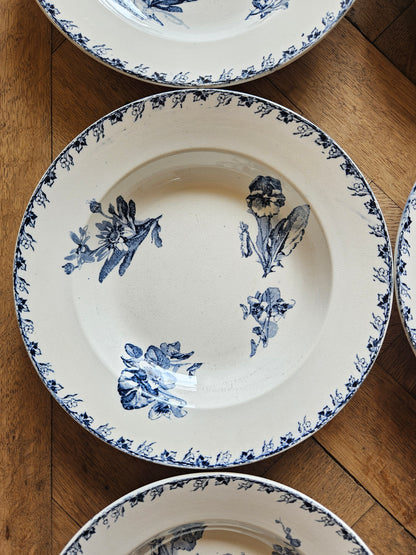 Assiettes creuses U&C Sarreguemines, Stella