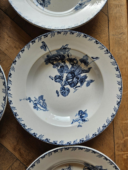 Assiettes creuses U&C Sarreguemines, Stella