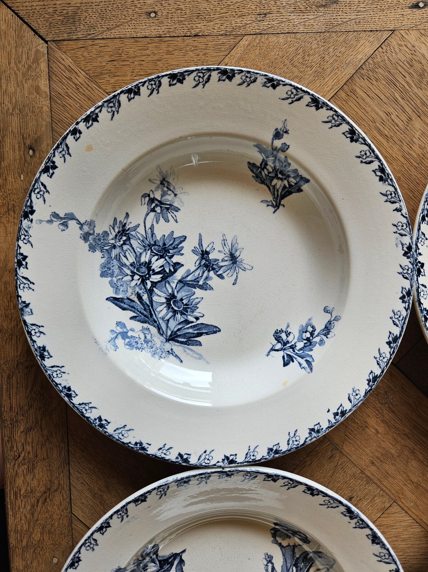 Assiettes creuses U&C Sarreguemines, Stella